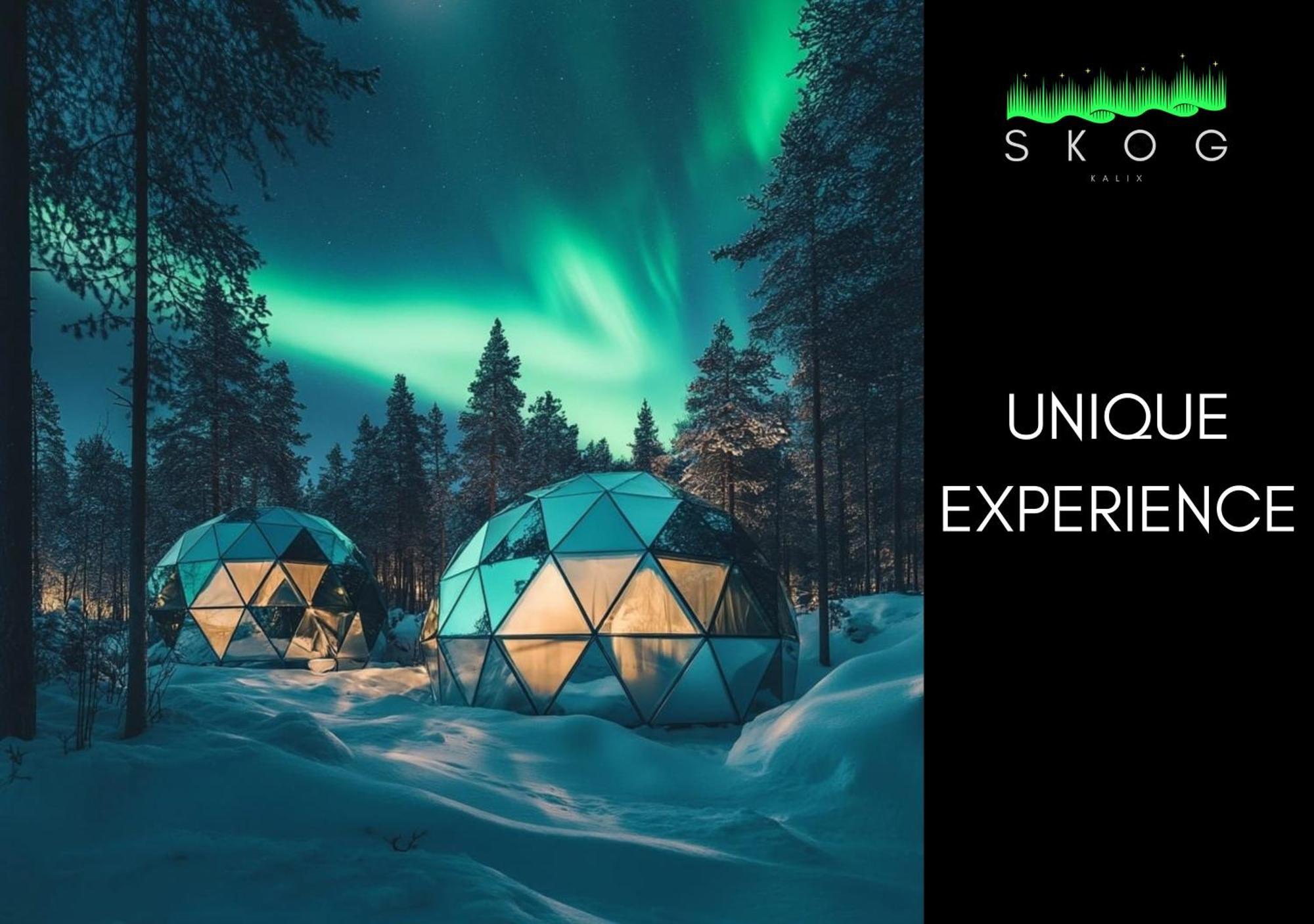 Villa Skog Aurora Igloos Kalix Exterior foto