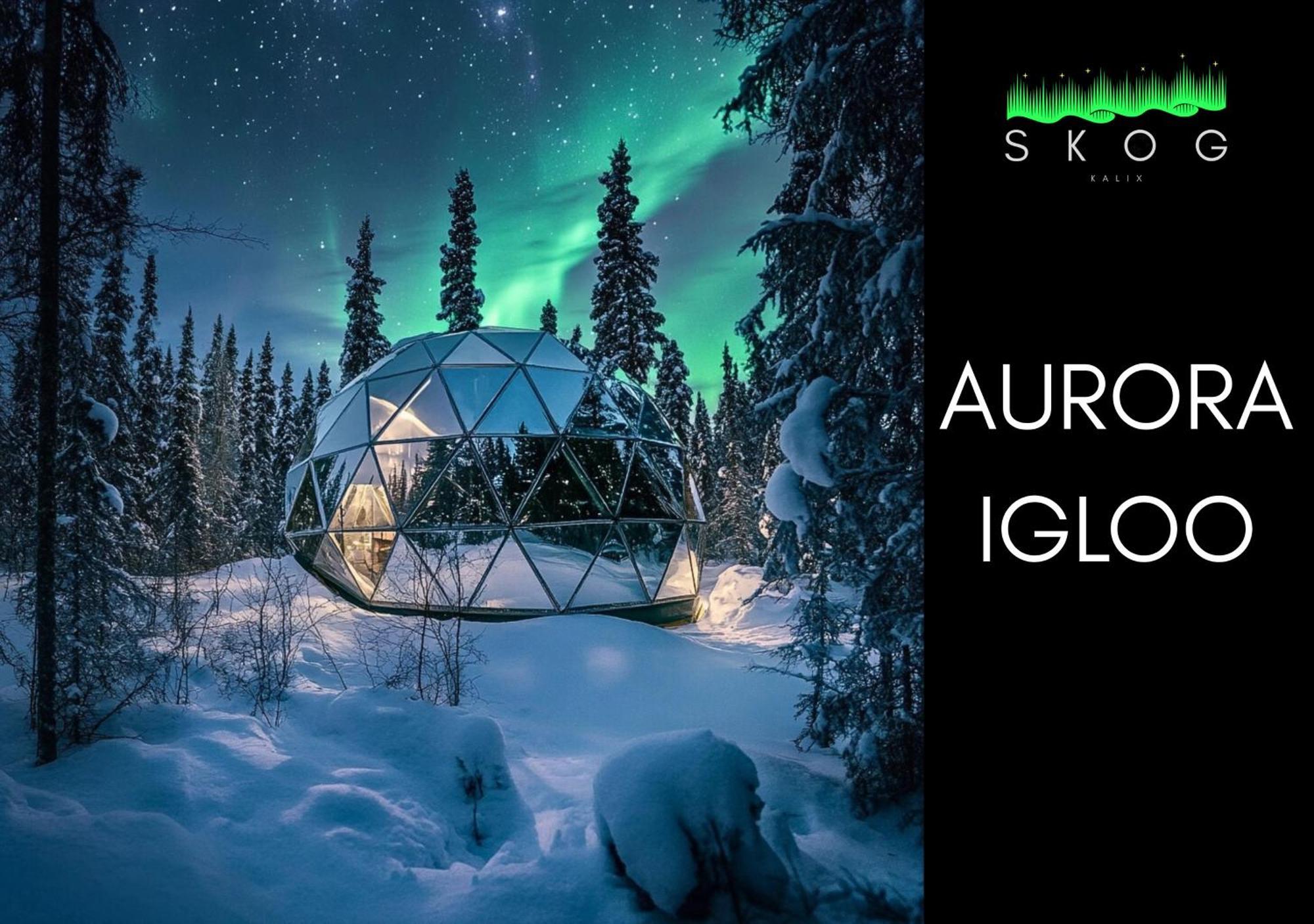 Villa Skog Aurora Igloos Kalix Exterior foto
