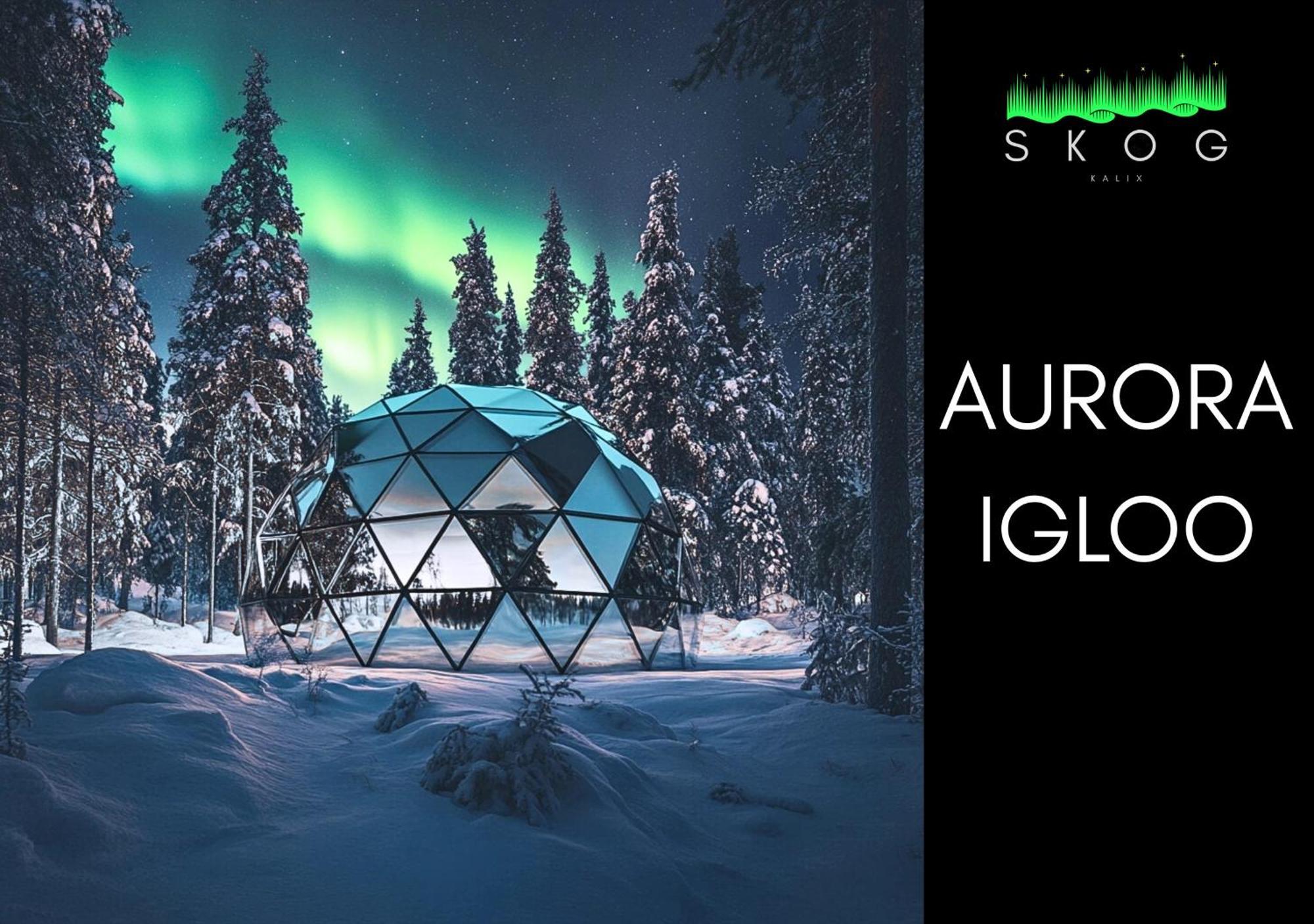 Villa Skog Aurora Igloos Kalix Exterior foto