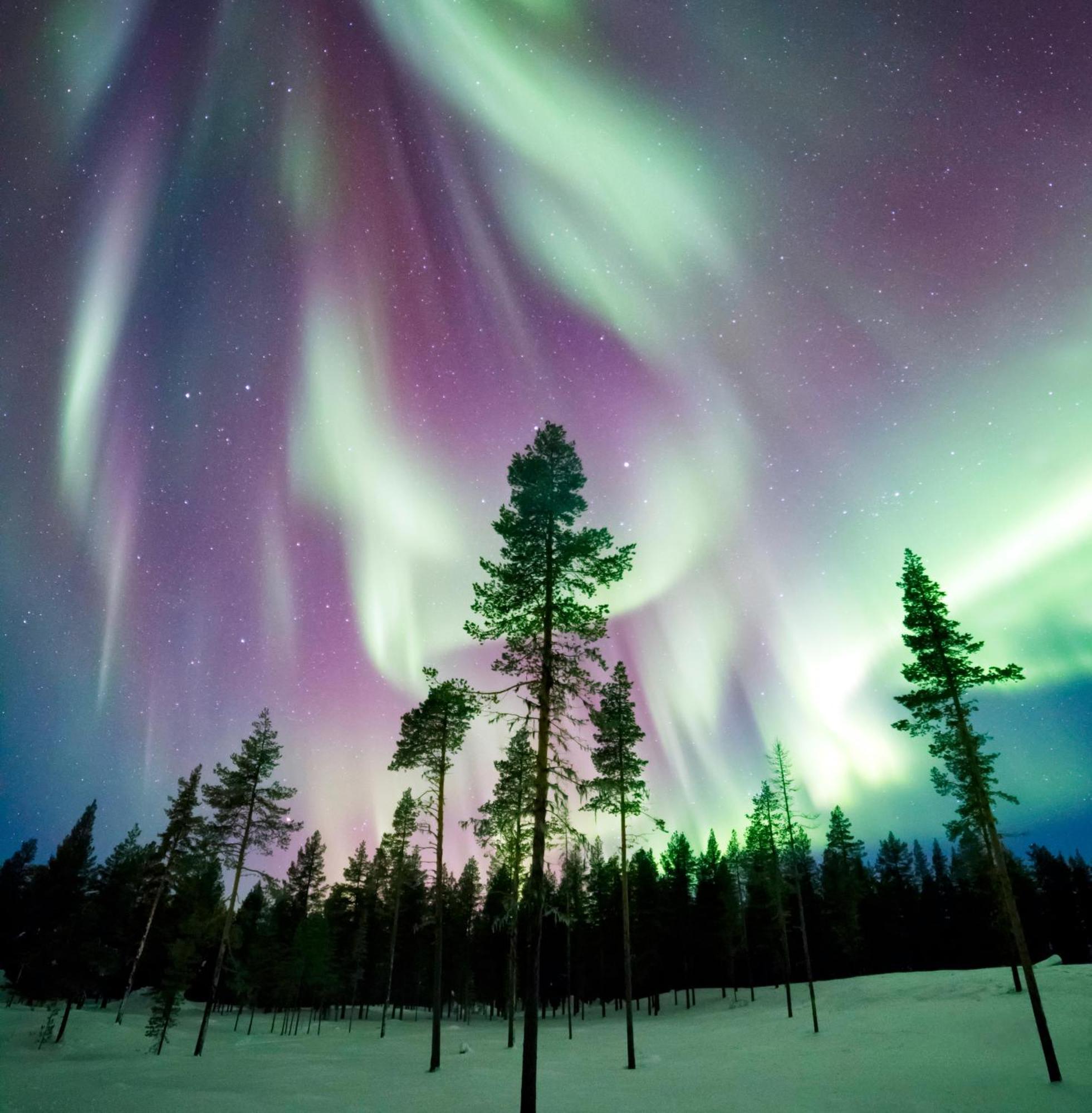 Villa Skog Aurora Igloos Kalix Exterior foto