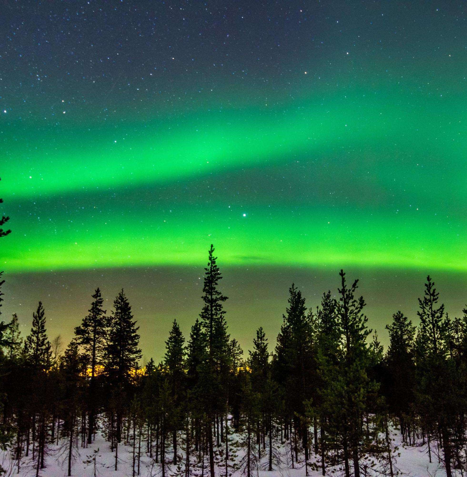 Villa Skog Aurora Igloos Kalix Exterior foto