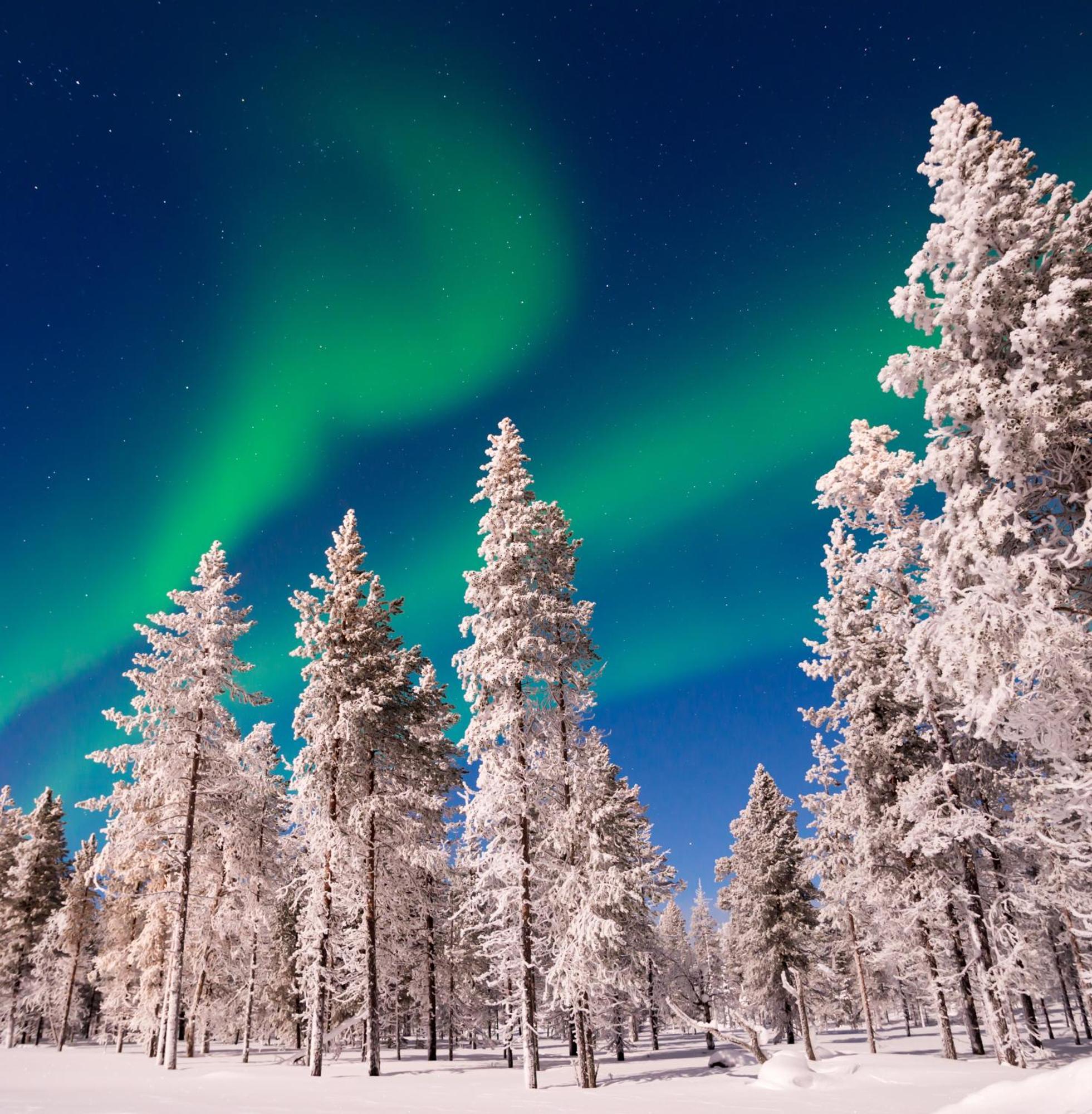 Villa Skog Aurora Igloos Kalix Exterior foto