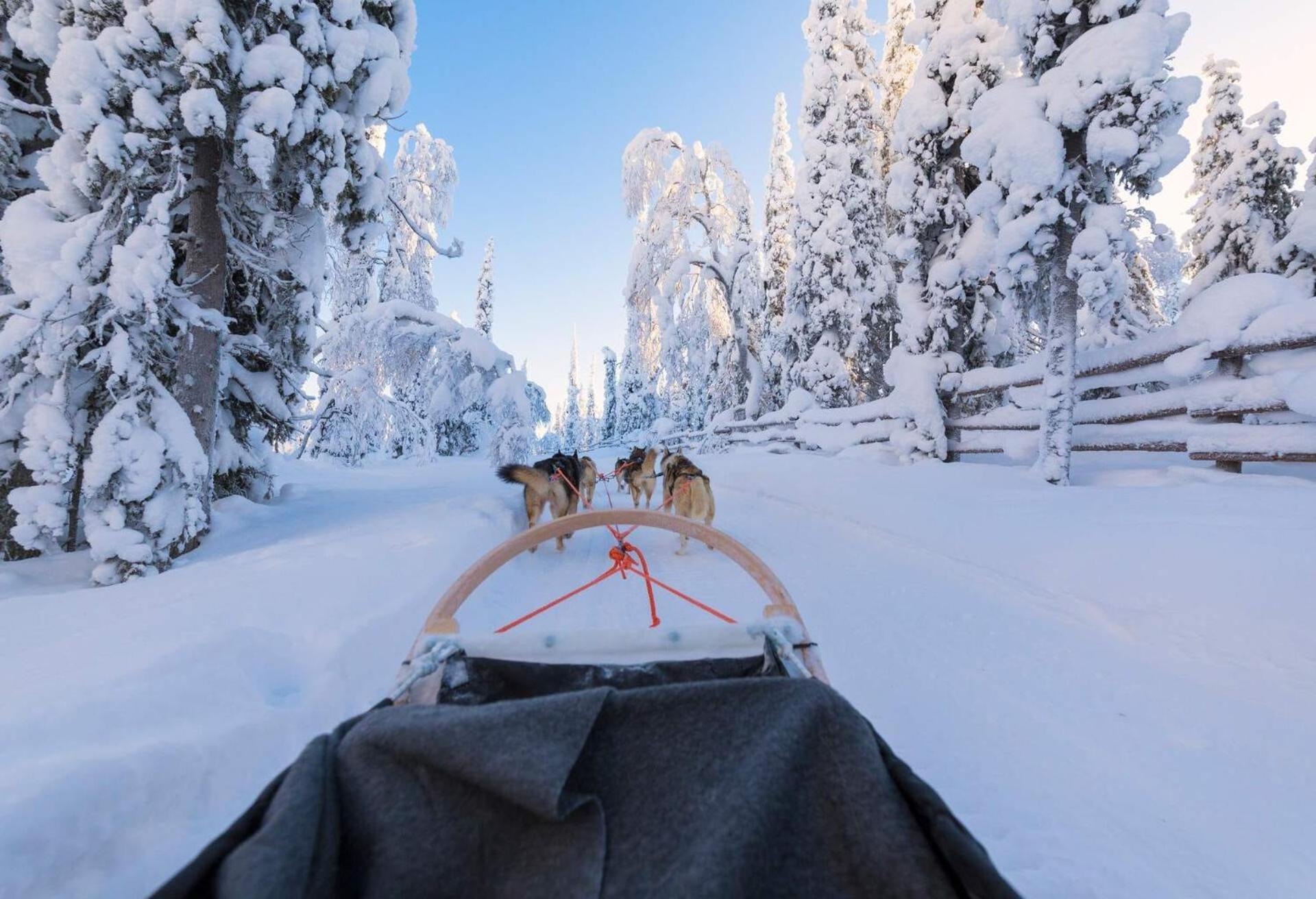 Villa Skog Aurora Igloos Kalix Exterior foto